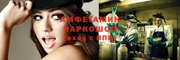 сатива Абинск