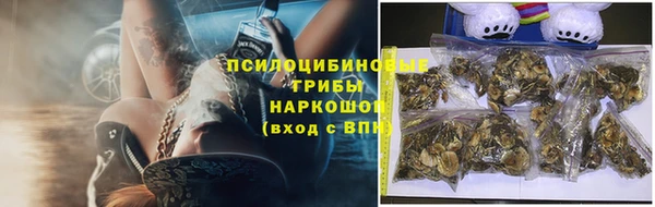 прущий лед Алексеевка