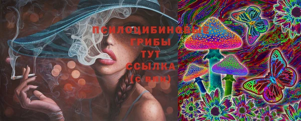 сатива Абинск