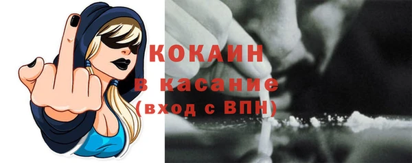 сатива Абинск