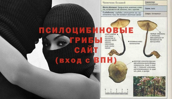 винт Абаза