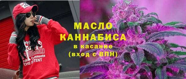 сатива Абинск