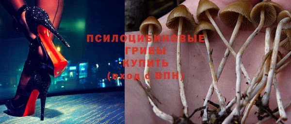 сатива Абинск