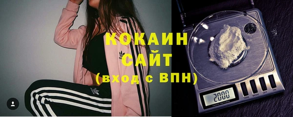 винт Абаза