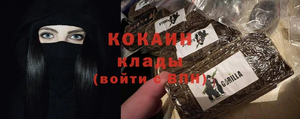 винт Абаза