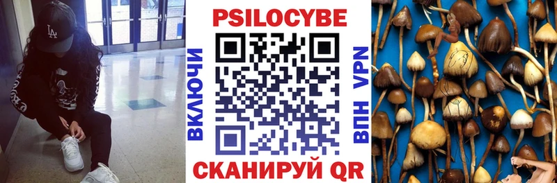 Псилоцибиновые грибы мухоморы  blacksprut ССЫЛКА  Кирсанов 